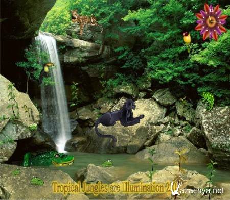 Tropical Jungles are Illumination 2.0