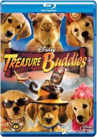   / Treasure Buddies (2010/HDRip/1400Mb)