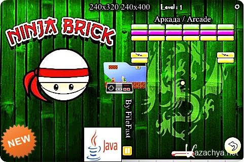 Ninja Brick /  
