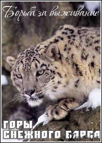    / Kingdoms of Survival. Mountains of the Snow Leopard (1997) SATRip