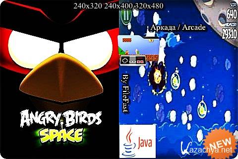 Angry Birds Space /    