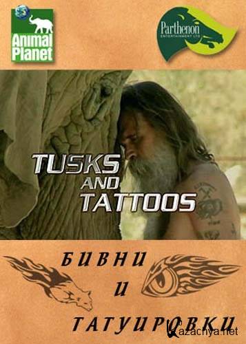   / Tusks and Tattoos (2005) SATRip