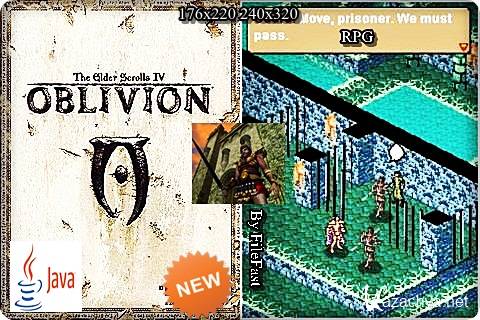 The Elder Scrolls IV Oblivion /   4. .