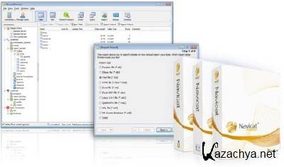 PremiumSoft Navicat Premium Enterprise Edition 10.0.11