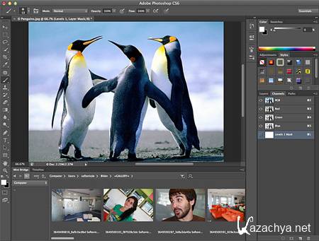 Photoshop CS 6 13.0 Pre Release x86+x64 (2012)