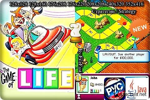 The Game of Life /    