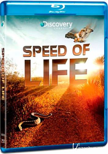 Discovery:   / Discovery: Speed of Life [1-3   3] (2010) BDRip AVC 