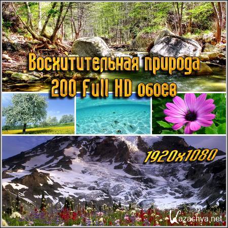 �������������� ������� - 200 Full HD �����