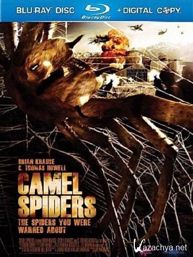 ��������� ����� / Camel Spiders (2011) BDRip 720p 