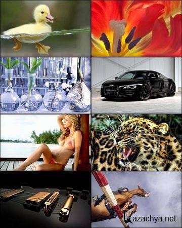 ��������������� ���� ��� �������� ����� "������� 2012" �121