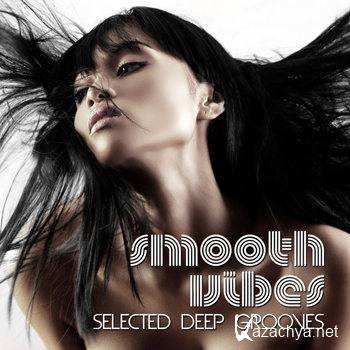 Smooth Vibes (Selected Deep Grooves) (2011)