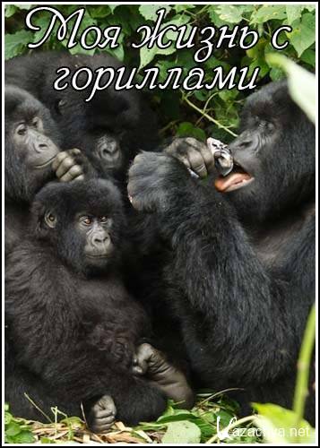     / My Gorilla Life (2011) HDTVRip (720p)