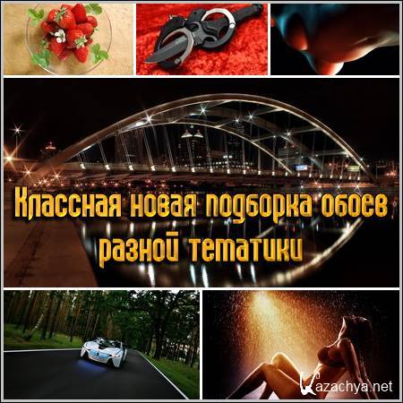 �������� ����� �������� ����� ������ ��������