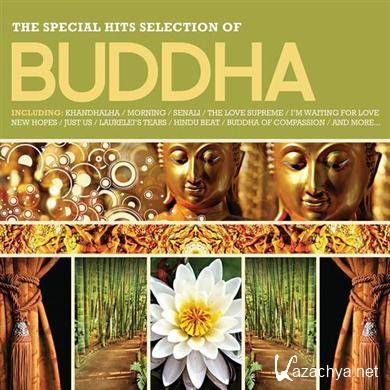 VA - Buddha The Special Hits Selection 2012 (2012).MP3