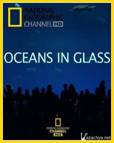    / Oceans In Glass (2009) SATRip