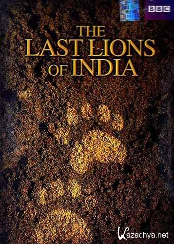  .    / Natural World. The Last Lions of India (2006) SATRip