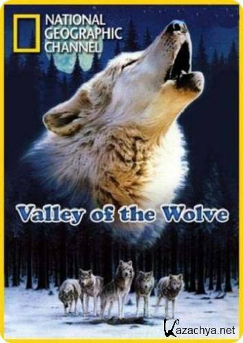   / Valley of the Wolves (2007) SATRip
