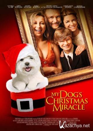- / My Dog's Christmas Miracle (2011) DVD5