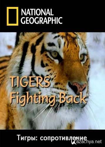 :  / Tigers Fighting Back (2003) SATRip