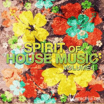 Spirit Of House Music Volume 1 (2012)