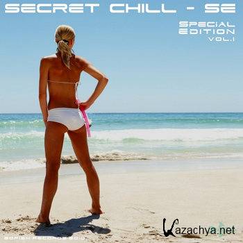 Secret Chill: Special Edition (2012)