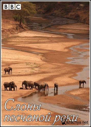  .    / Natural World. Elephants of the Sand River (1999) SATRip