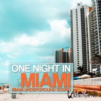One Night in Miami (Miami Underground Sound) (2012)