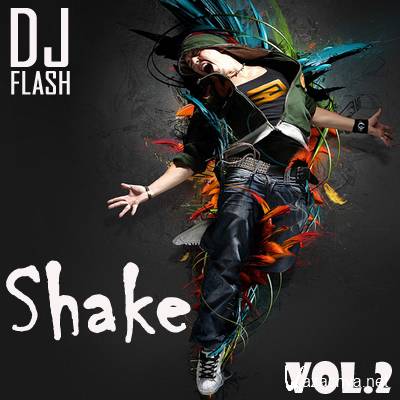 DJ Flash - Shake vol.2 (2012)
