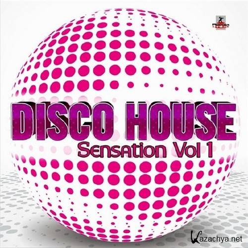 Disco House Sensation Vol. 1 (2012) 