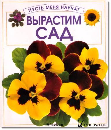 �������� ���