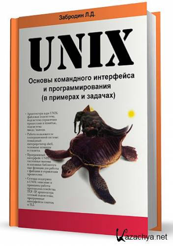 UNIX:      (   )