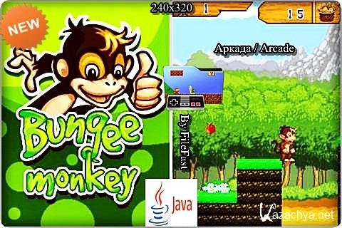 Bungee Monkey / -