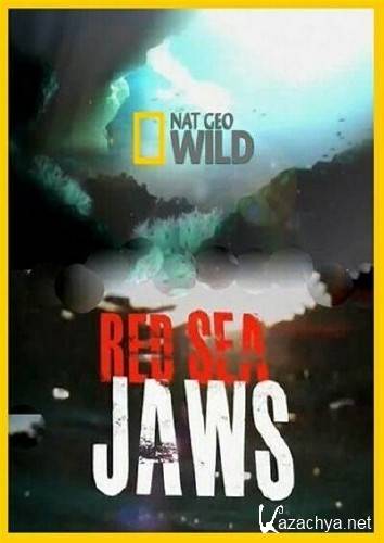    / National Geographic. Red Sea Jaws (2011) HDTVRip