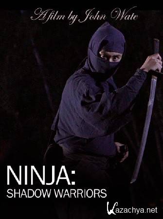 : - / Ninja: Shadow warriors (2011) SATRip 