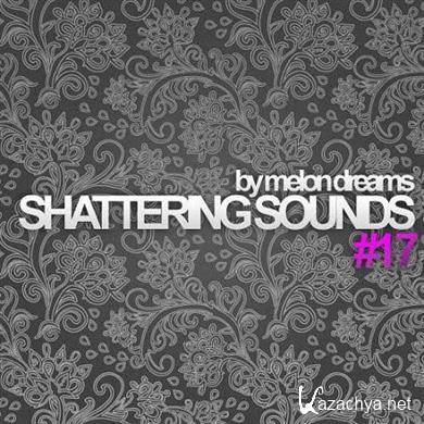 VA - Shattering Sounds #17 (08.05.2012 ).MP3