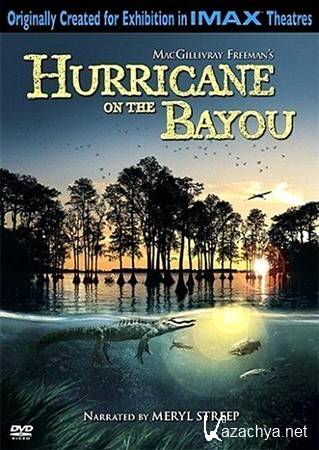    / IMAX - Hurricane on the Bayou (2006) BDRip 1080p