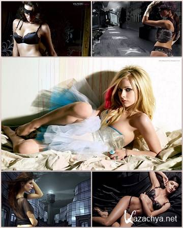 �������� ������� �������� ����� 51