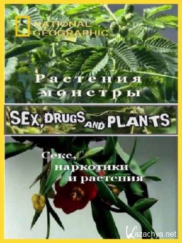 ,   ( - ) / Sex, Drugs and Plants (2012) HDTVRip 720p