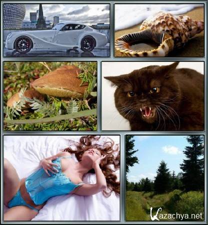 ���� �� ������� ���� by MaxFilm (1)