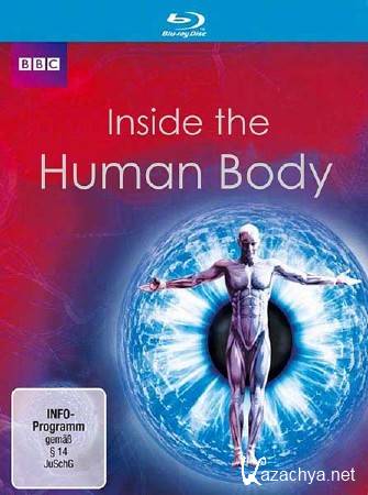    / Inside the Human Body (2011) SATRip 
