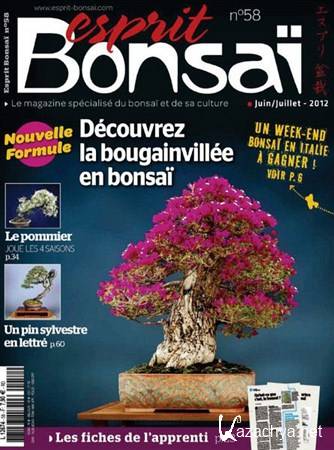 Esprit Bonsai - Juin/Juillet 2012