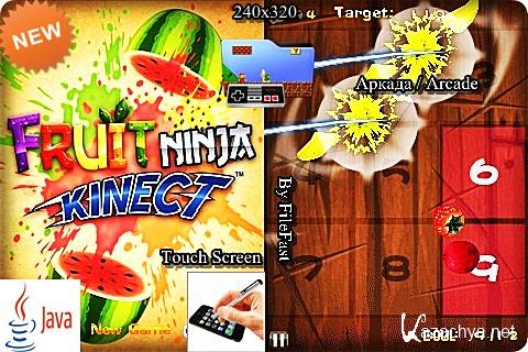 Fruit Ninja Kinect /  :  