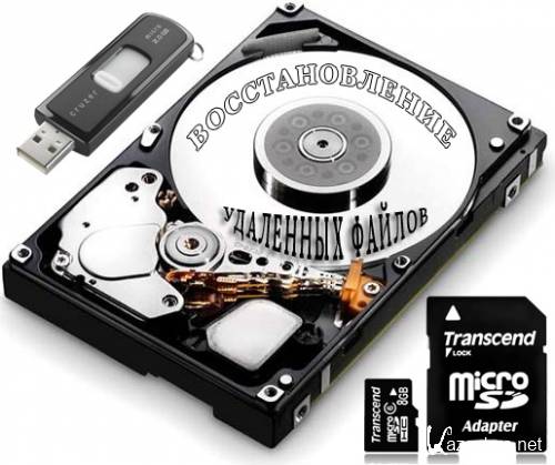 Raise Data Recovery for FAT / NTFS 5.3