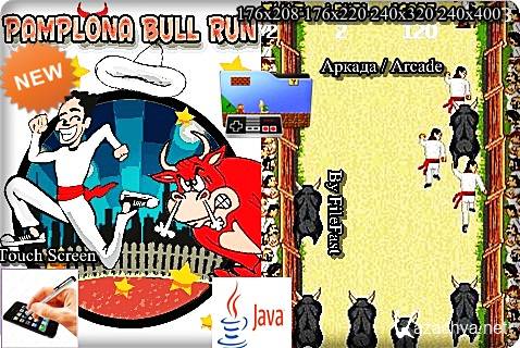 Pamplona Bull Run /    