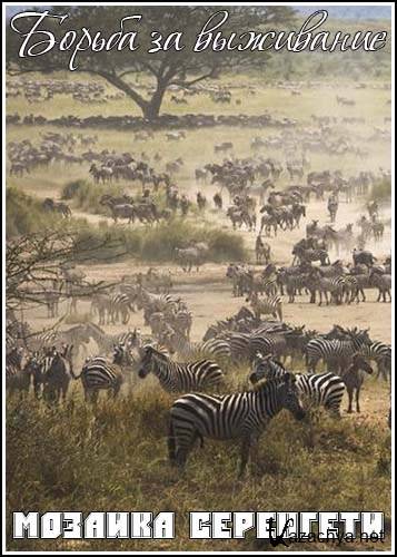   .   / Kingdoms of Survival. Serengeti Jigsaw (1995) SATRip