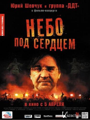 -    (2012) DVD9