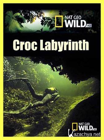   / Croc Labyrinth (2011) SATRip 