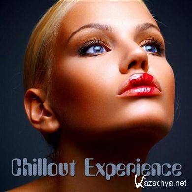  VA - Chillout Experience (16.06.2012). MP3 