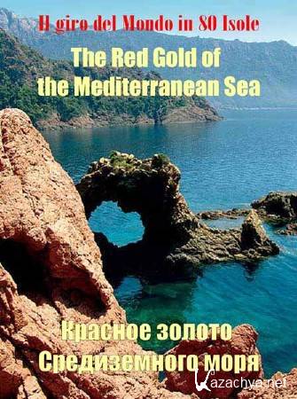 80 �������� ������ �����. ������� ������ ������������ ���� / Il Giro Del Mondo In 80 Isole (2011) SATRip 