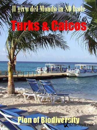 80 �������� ������ �����. Ҹ��� � ������. ������ ���������� � ���� / Il Giro Del Mondo In 80 Isole (2011) SATRip 